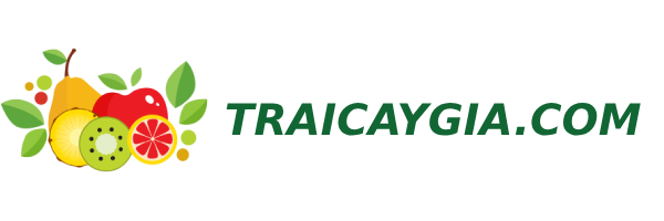 Trái cây giả – Hoa quả mô hình giống thật