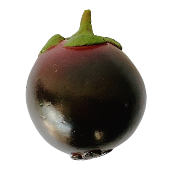 13.Măng cụt ( N 30 c 5 r 7 )