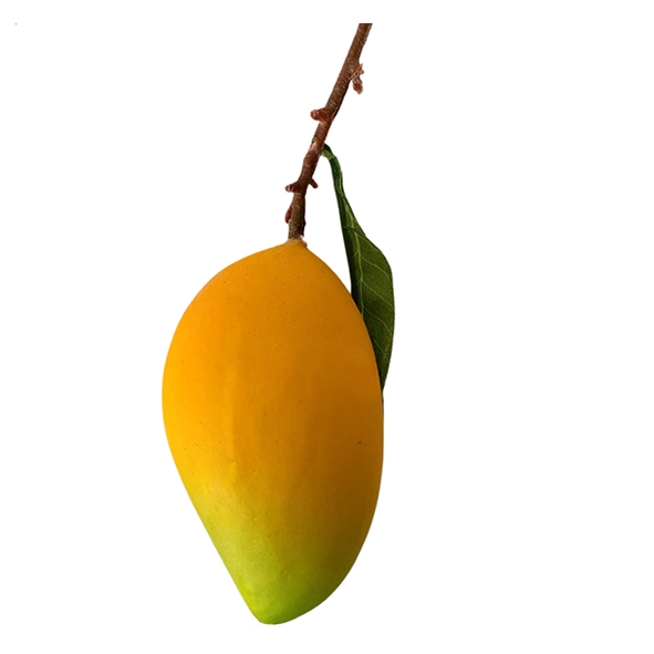 26.Xoài cát nặng ( 100 g. Cao 16 cm. Rộng 10 cm )