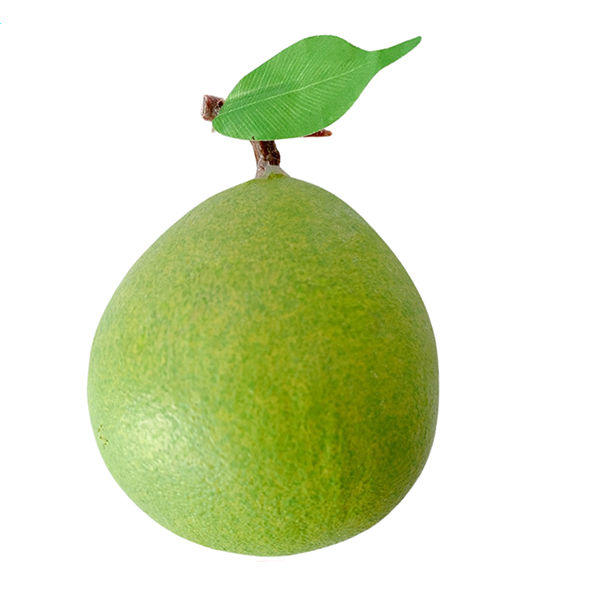 45.Bưởi trung xanh ( n 120 c 12 r 12 ) - Copy