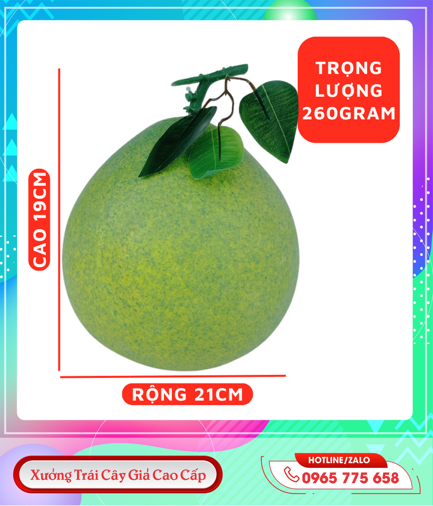 46.Bưởi đại ( n 260. C 19 r21 )