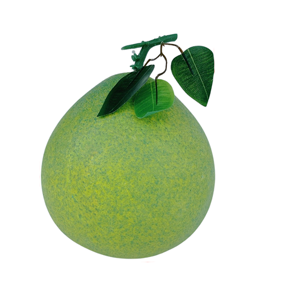 46.Bưởi đại ( n 260. C 19 r21 ) - Copy