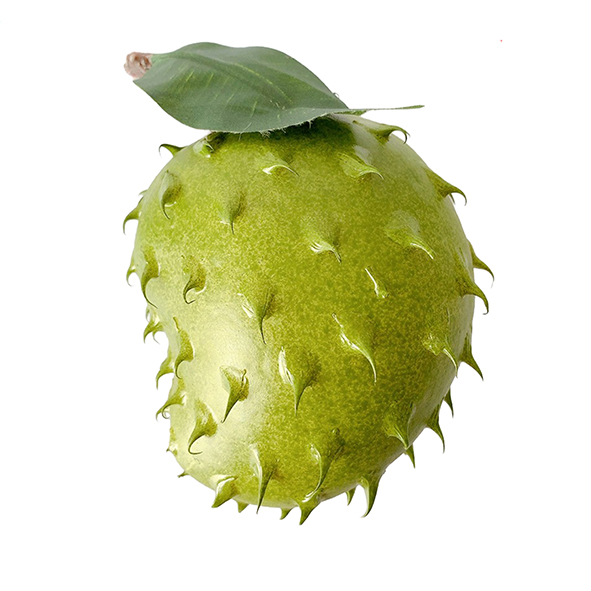 z4162886614894_8dc748c05ef3730e0ca1f8ef86c19587 - Copy