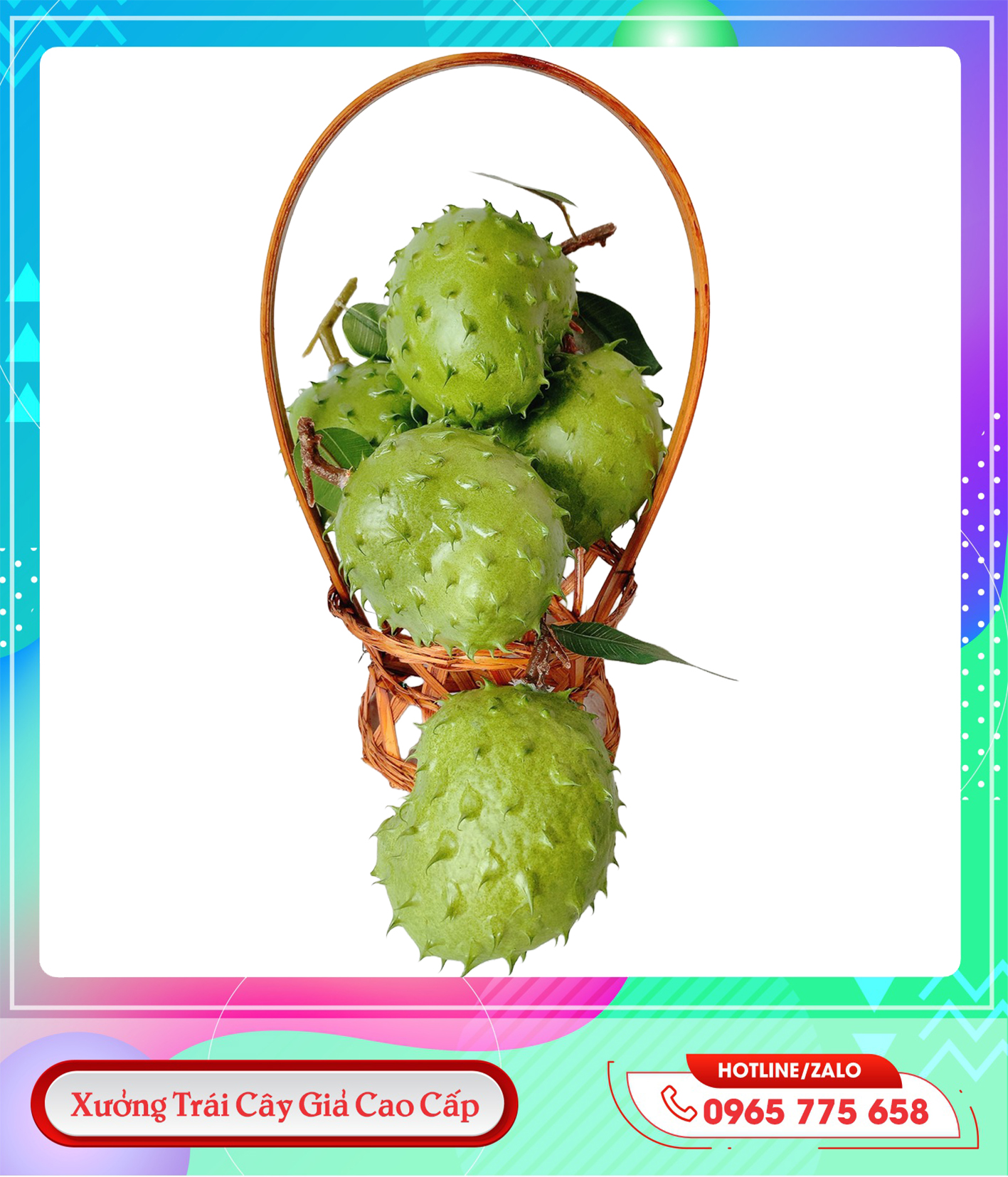 z4175774696001_31f5fbe62d547de5561fcb7794d043b6