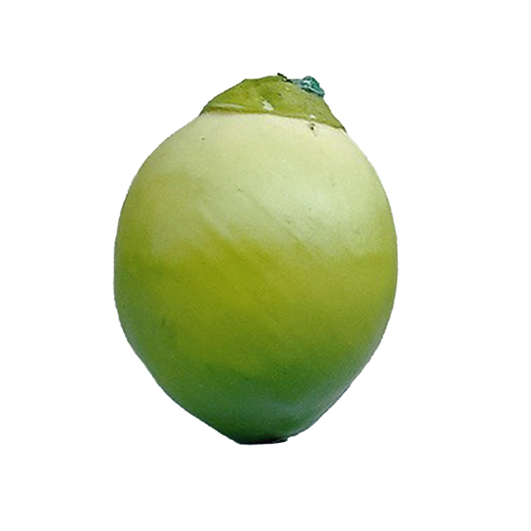 z5639145080600_7ccdfd7c82f730893190817e35fc0762