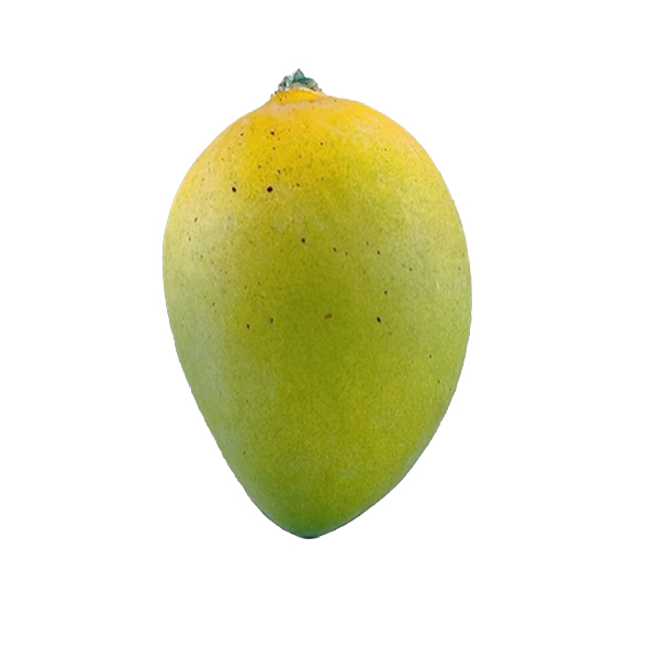 z5639163377618_434933420ec468545414ee4c6c22c001