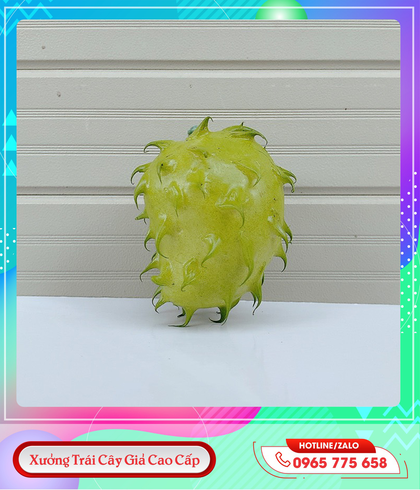 z5639170711815_1fd3d427dc4ae87ed7d2dc1ede0b0934