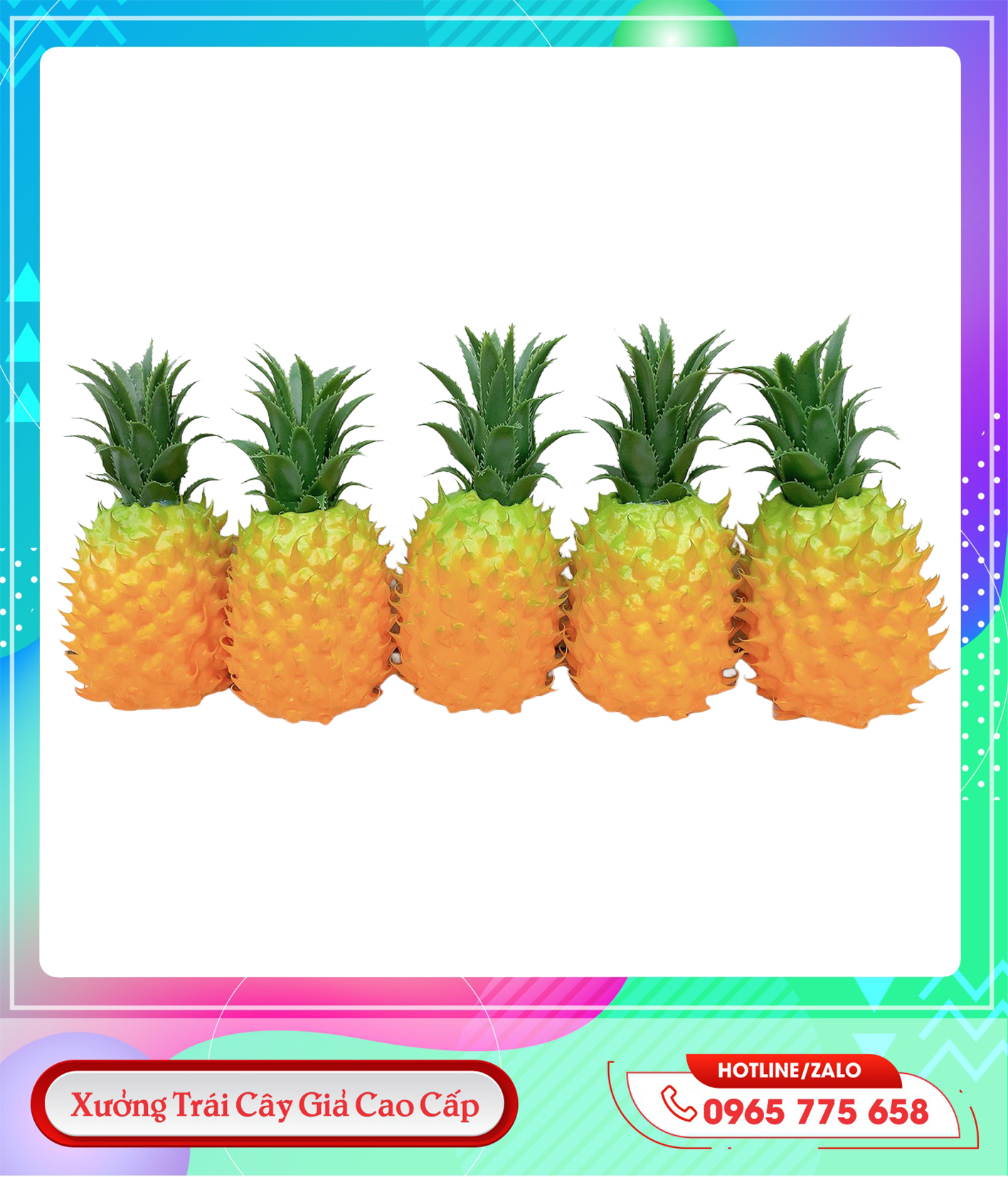 z5658252895785_a5a2d991d4766ad46cd6399dbe088ac5