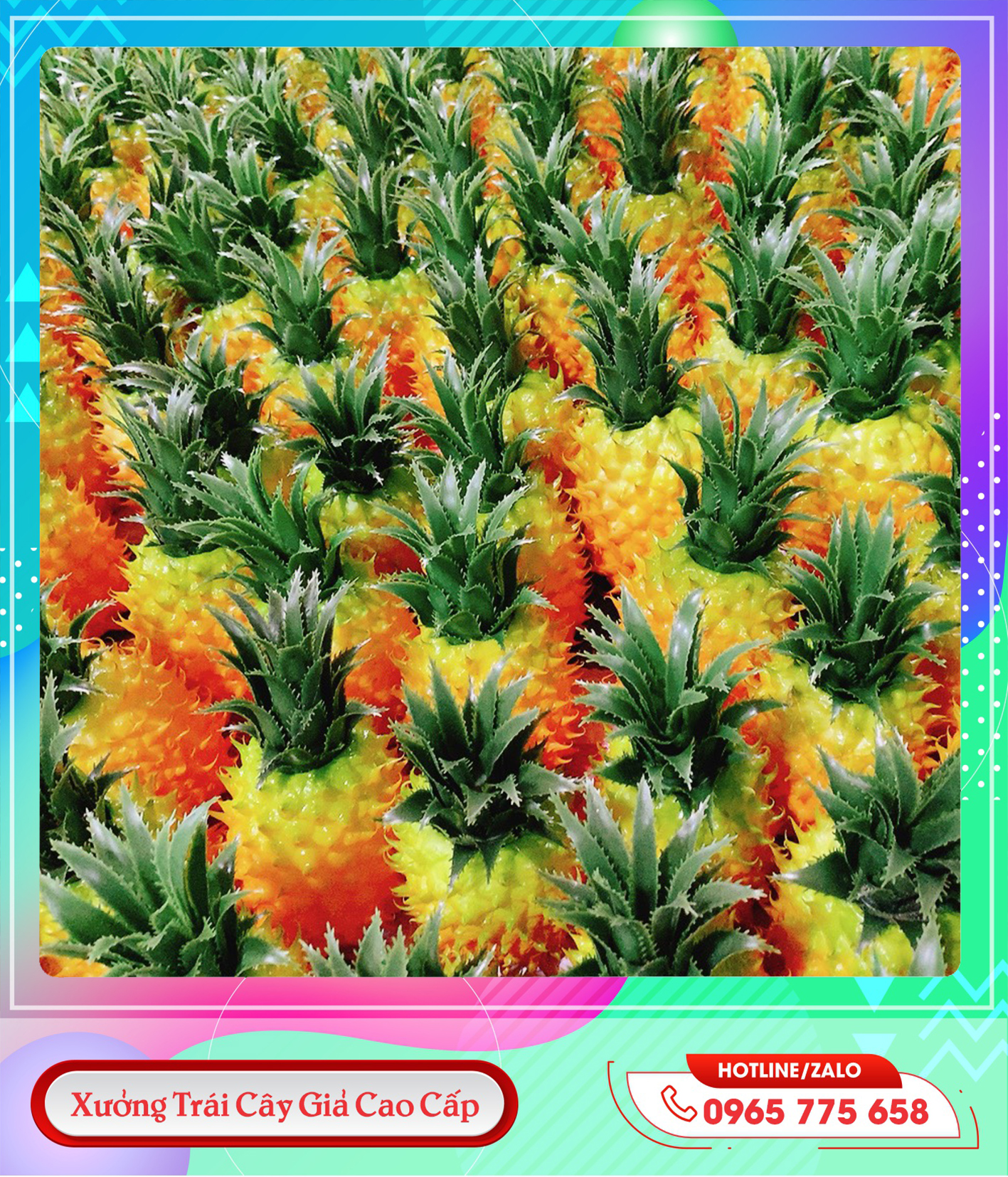 z5658252902350_3b86f1cb0804fd7b1759034d97871cb6