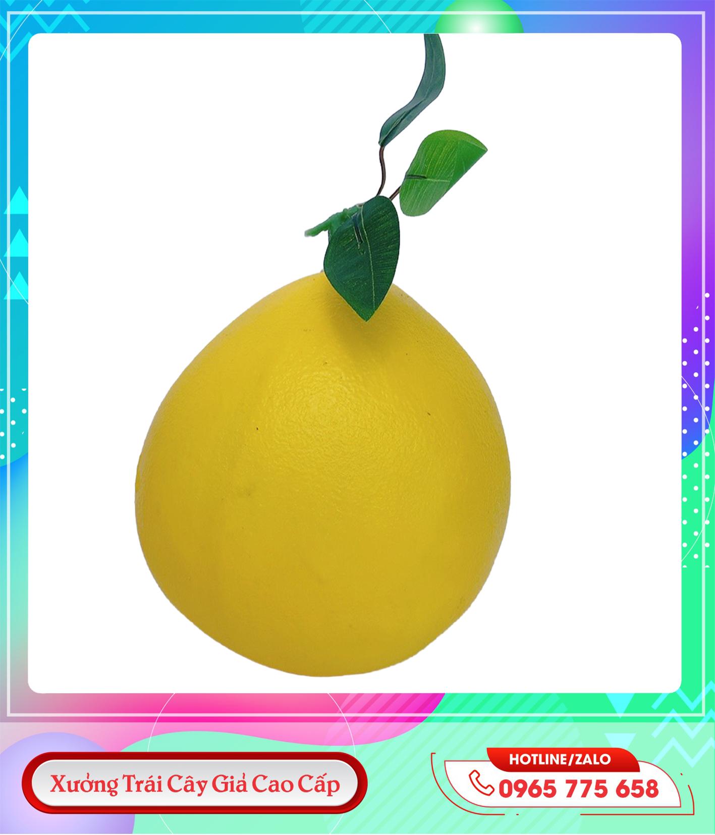 z5711648601841_8b29eaecaf7d96b4a4e2408f8599673e