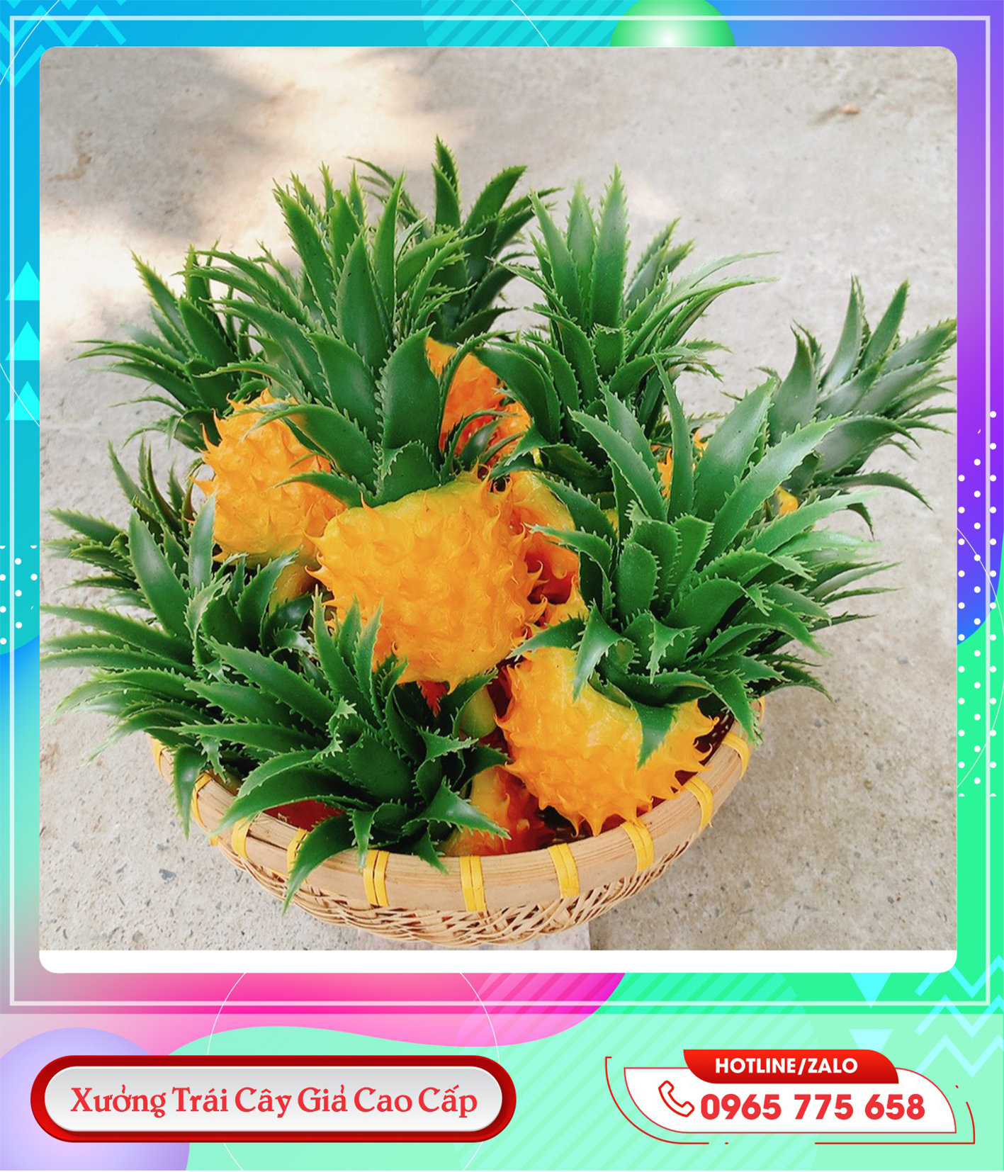 z5711873773481_ae0e83a817aed941788555c15cd45134