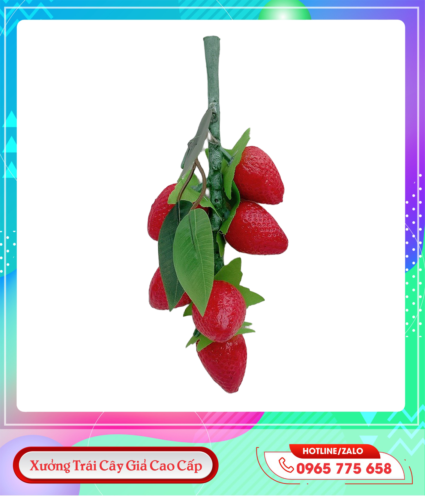 z5711919287445_e2cb686271a7274921d01f3f64828c25