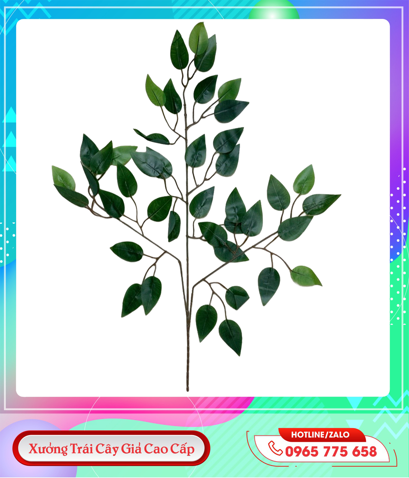 z5746955643104_f66aeb930824b2f9209fb0dc2dae212f