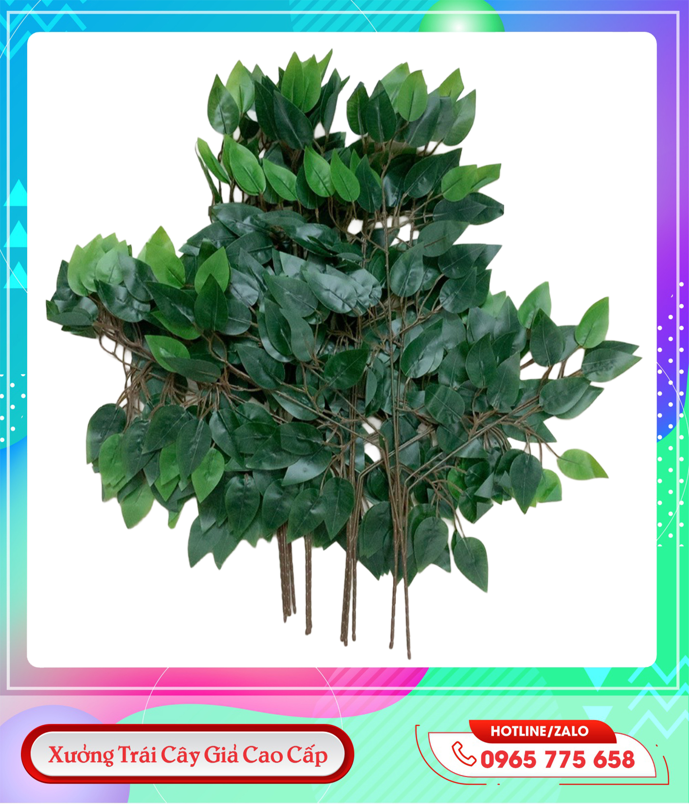 z5746955656709_af05ac4697f03dffdbaf19d9147fda5a